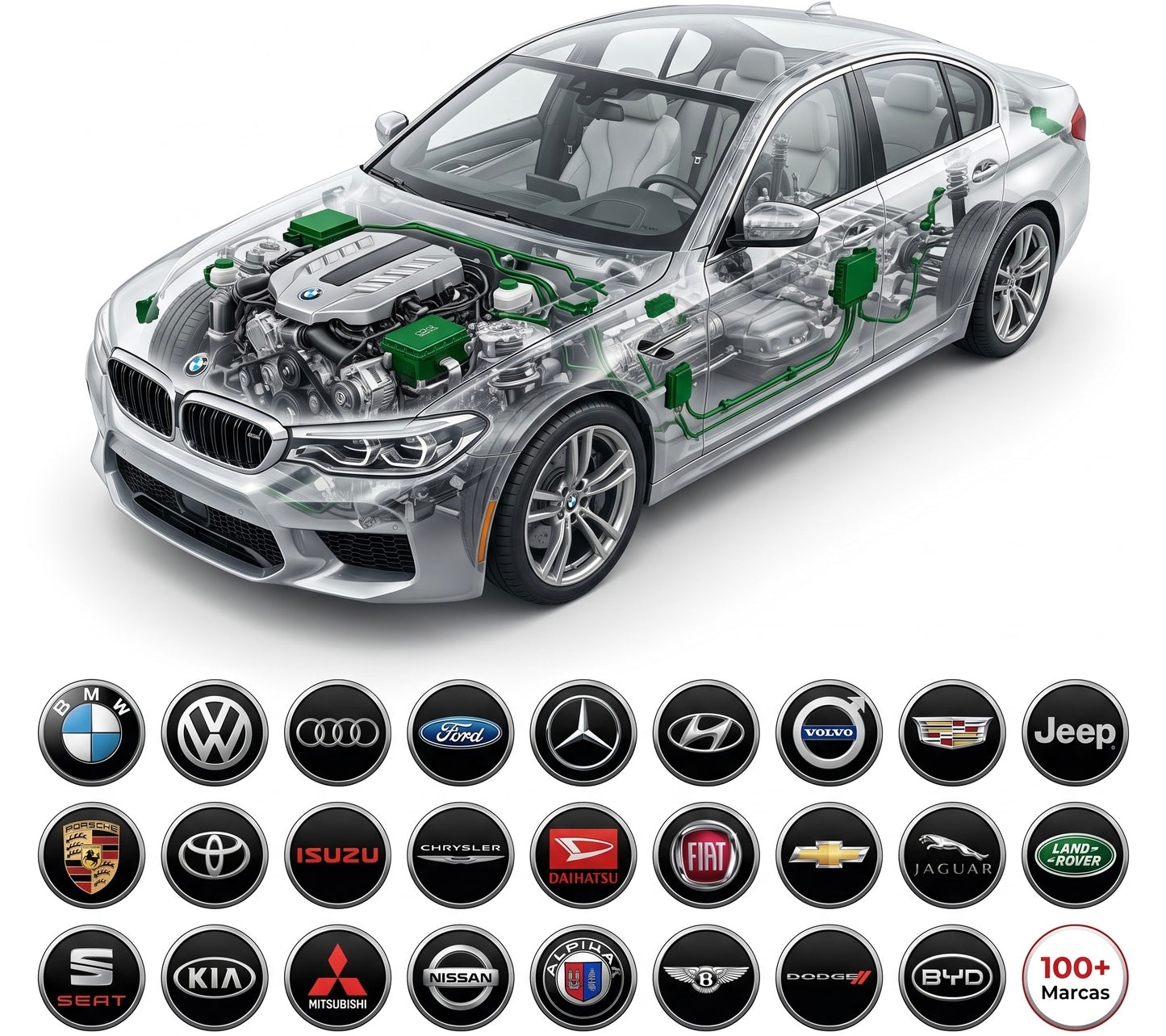 Professional Repair Software for All Cars