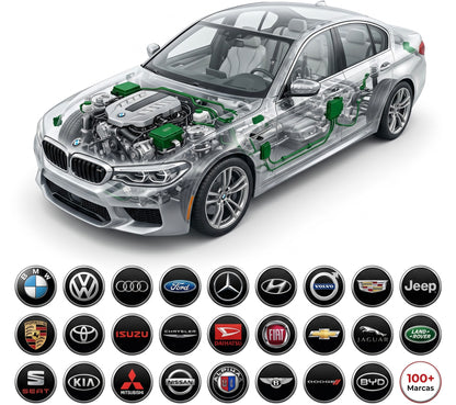 Professional Repair Software for All Cars